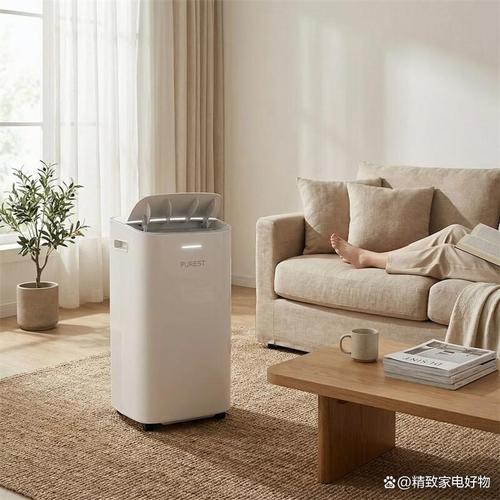除湿机加湿器哪个好？2026年深度分析+6款热门推荐，功能全方位对比！